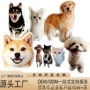 定制定做办公室简约款枕套