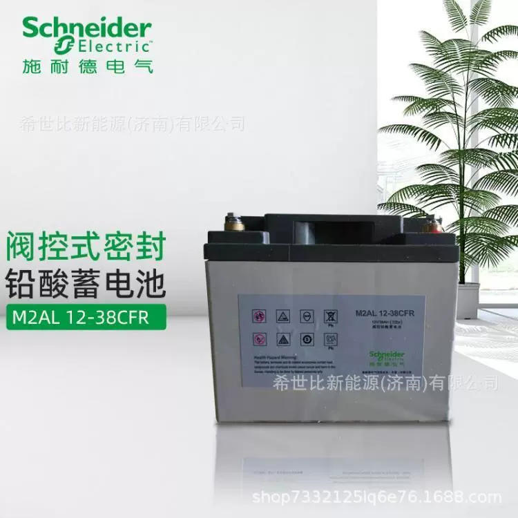 APC schneider蓄电池M2AL12-38SFR12V38AH高速铁路信号及监控系统