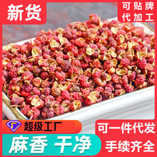 ���������l2023��؛ �n�Ǵ�t�ۻ��������l��偵����{�ϻ������l