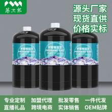 千石防爆耐高寒高海拔高纯度丙烷气罐大容量户外露营登山野炊炊具