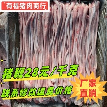 厂家批发新鲜冷冻猪鞭新鲜优质精品猪小弟个大无油茎猪鞭串