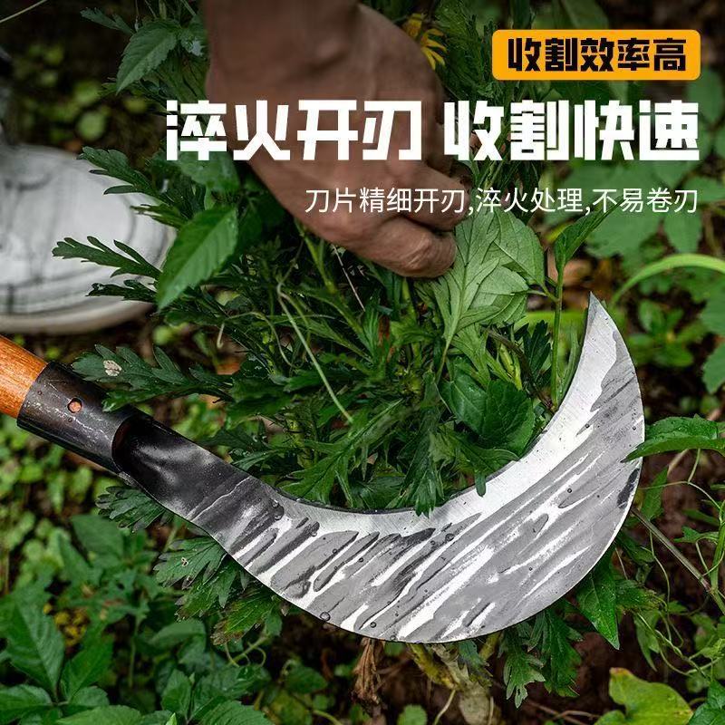 微信图片_20251226145804_554_33.jpg