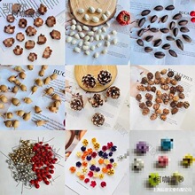 �ɹ������ֹ�diy����ɭϵ�������Ƭ�����׃��@�h���}�Q�b��̫��