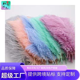 羽毛、羽绒;发夹;发带