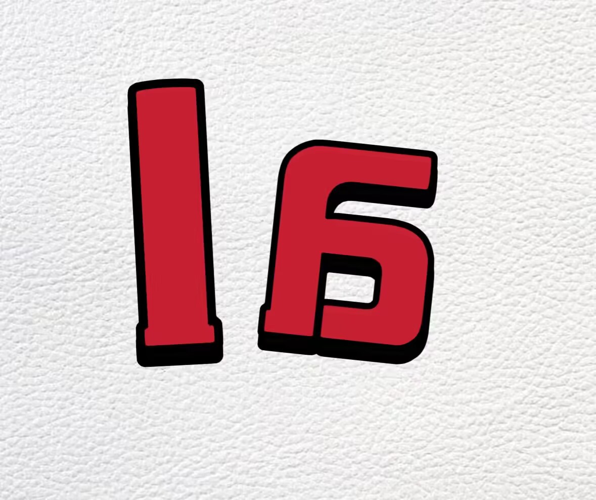 16.Ca 흑백(스웨이드)