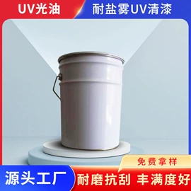 塑料涂料;涂料稀释剂;固化剂