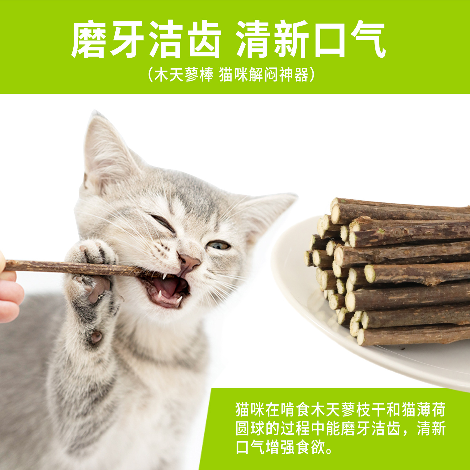 Madera natural polilla varilla de dientes para gatos ayuda a eliminar el vello para aliviar la borracha de los dientes limpios para gatos pequeños dientes de dientes para mascotas fabricantes de bocadillos al por mayor