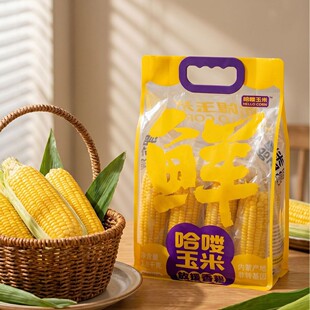 ���ɹŹ����D��Ŵ���׼�ͥ�b7-8�����r�SŴ������հ��b����1.8kg