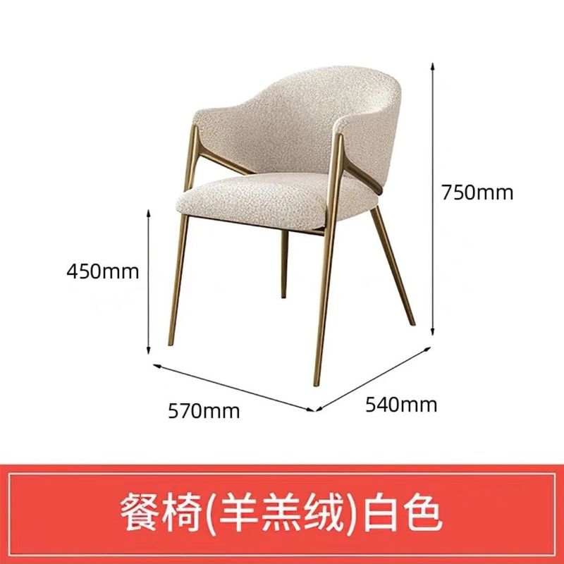 餐椅家用轻奢高档椅子羊羔绒休闲扶手椅沙发椅餐椅美甲客人椅子|undefined