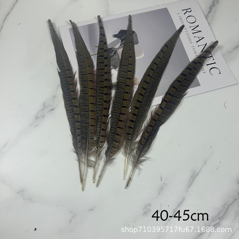 Fábrica al por mayor pelo de faisán 10-90cm cola de faisán pluma de bricolaje danza plumas de faisán cola de gallina palo de gato divertido image 16