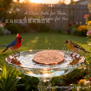 bird bath disk ���@ͥ�~���Bԡ���坍�P �Bˮ���坍�� �~�|�A�P