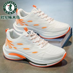 �W����ľ�B�����＾��Ь2026�¿�W��͸��������p�p���ܲ��\��Ь