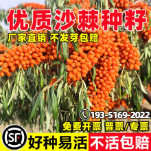 �²ɴ��ɳ���N�Ӵ������tɳ����N���ļ��׷N�̨����ˮ���N��