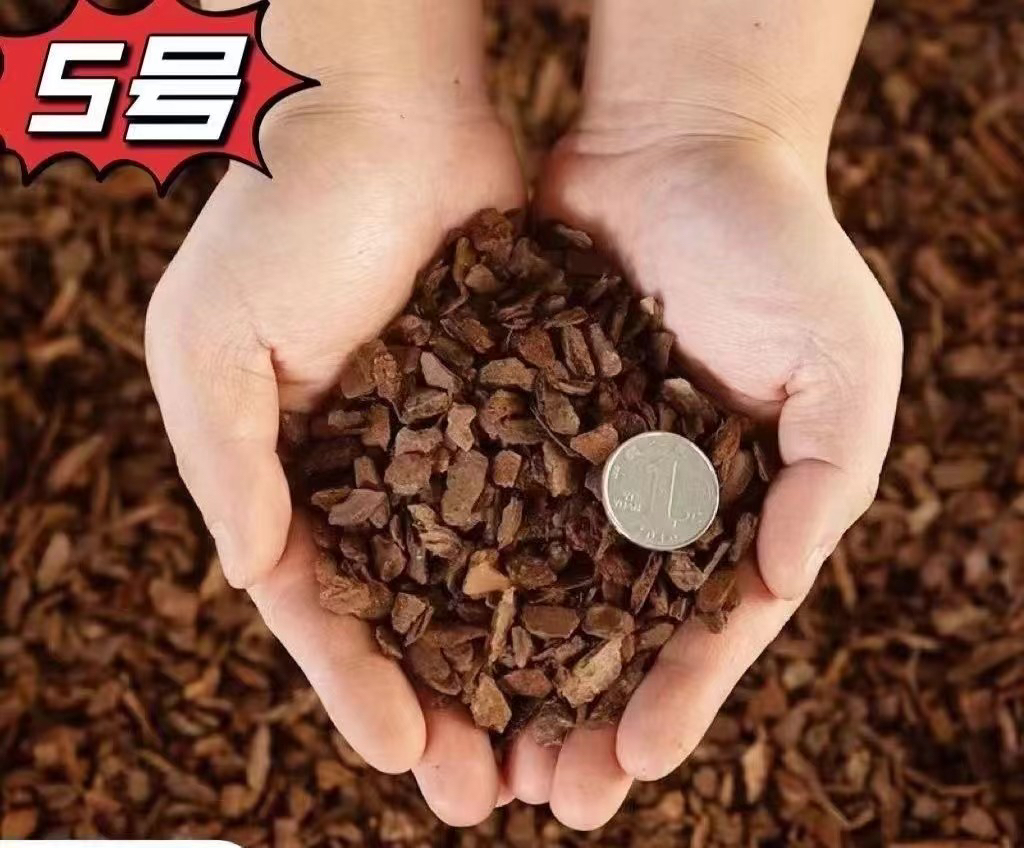 액티비티(2.5kg팩) 분해 5호 3-8mm 트럼펫