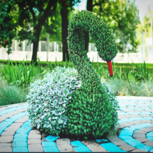 ֲ̈́﹤ˇƷ⹫@Vݵ^GͽM