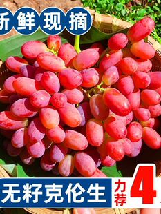 ��S�½��o�ѿ˂������Ѽt�ἃ�� ���������rˮ������F؛�F�l