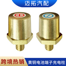 跨境供应汽车电瓶改装接线柱M8正负电池黄铜端子蓄电池改装接线桩