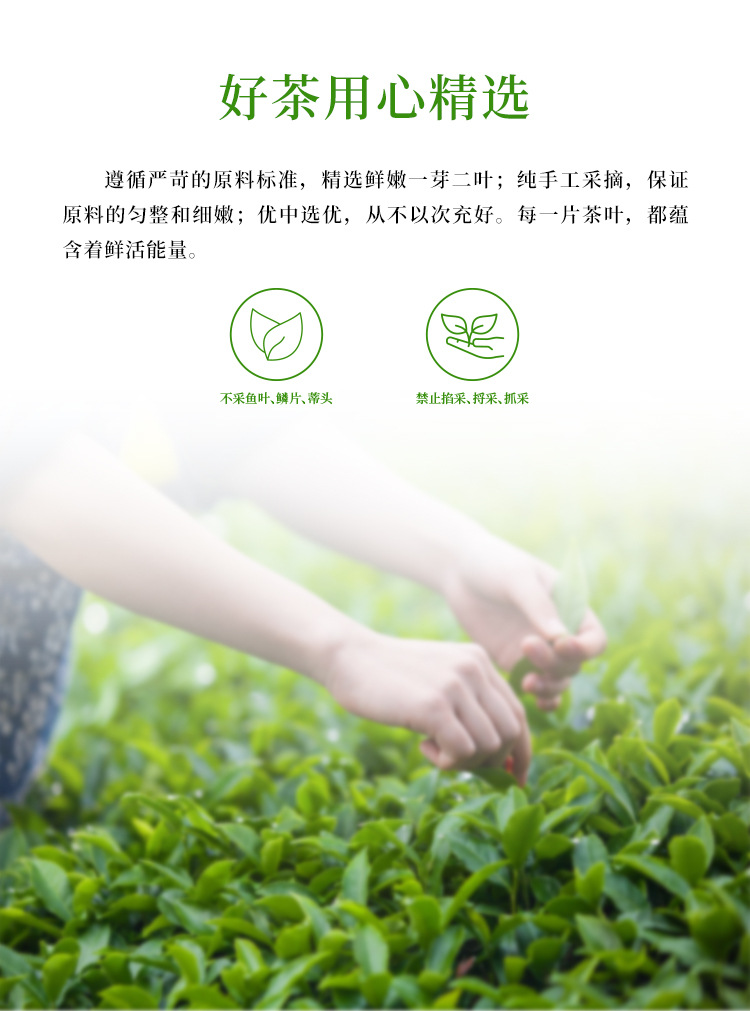 英红优品九号250g详情页_04