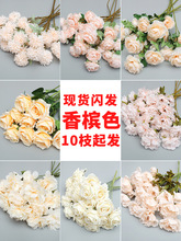 c㙉ɫFbܼٻõٻˇ[廨