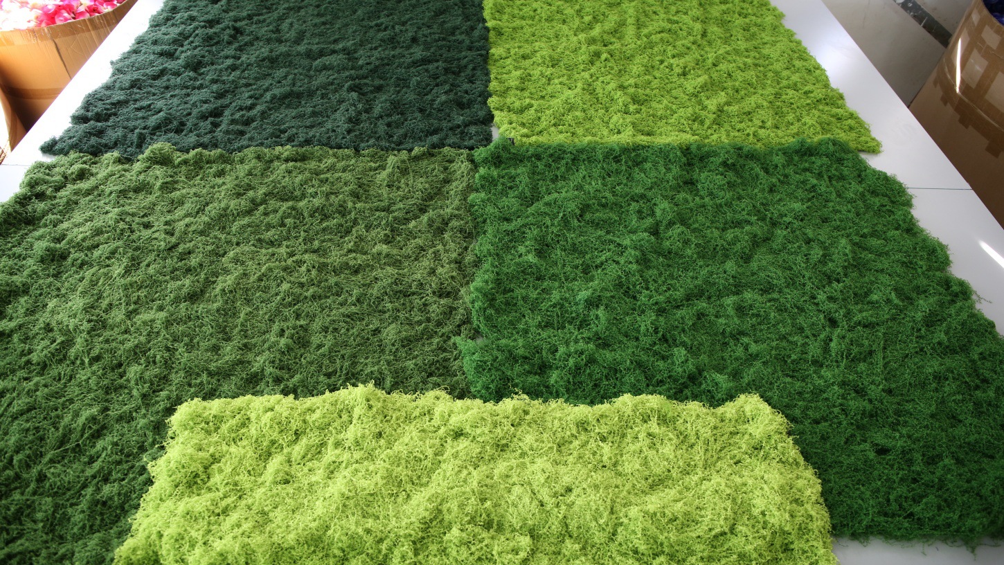 751A2478 - 开心看图王_副本