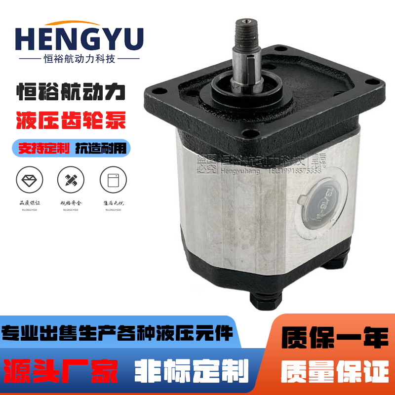 迪普马DUPLOMATIC齿轮泵GP2-0113R97F/20N GP1-0020L97F/20液压泵