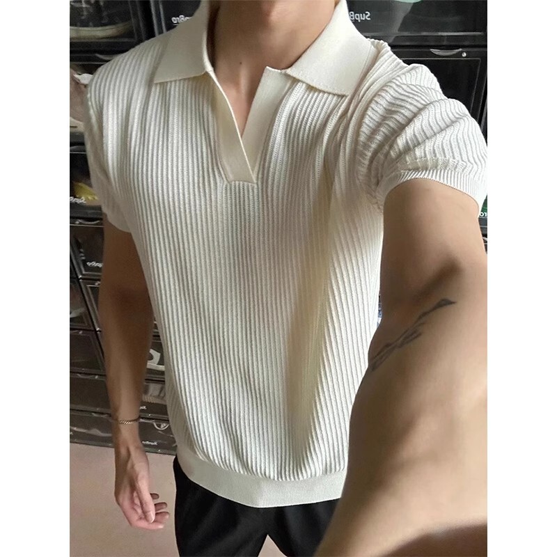 Old Money Style Seagull V-Neck Knitted Short-Sleeved Men's Summer Thin High-End Polo Shirt with Cuffed Sleeves Slim Half-Sleeved