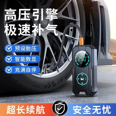 Fast-charging car air pump, Hava nasosu