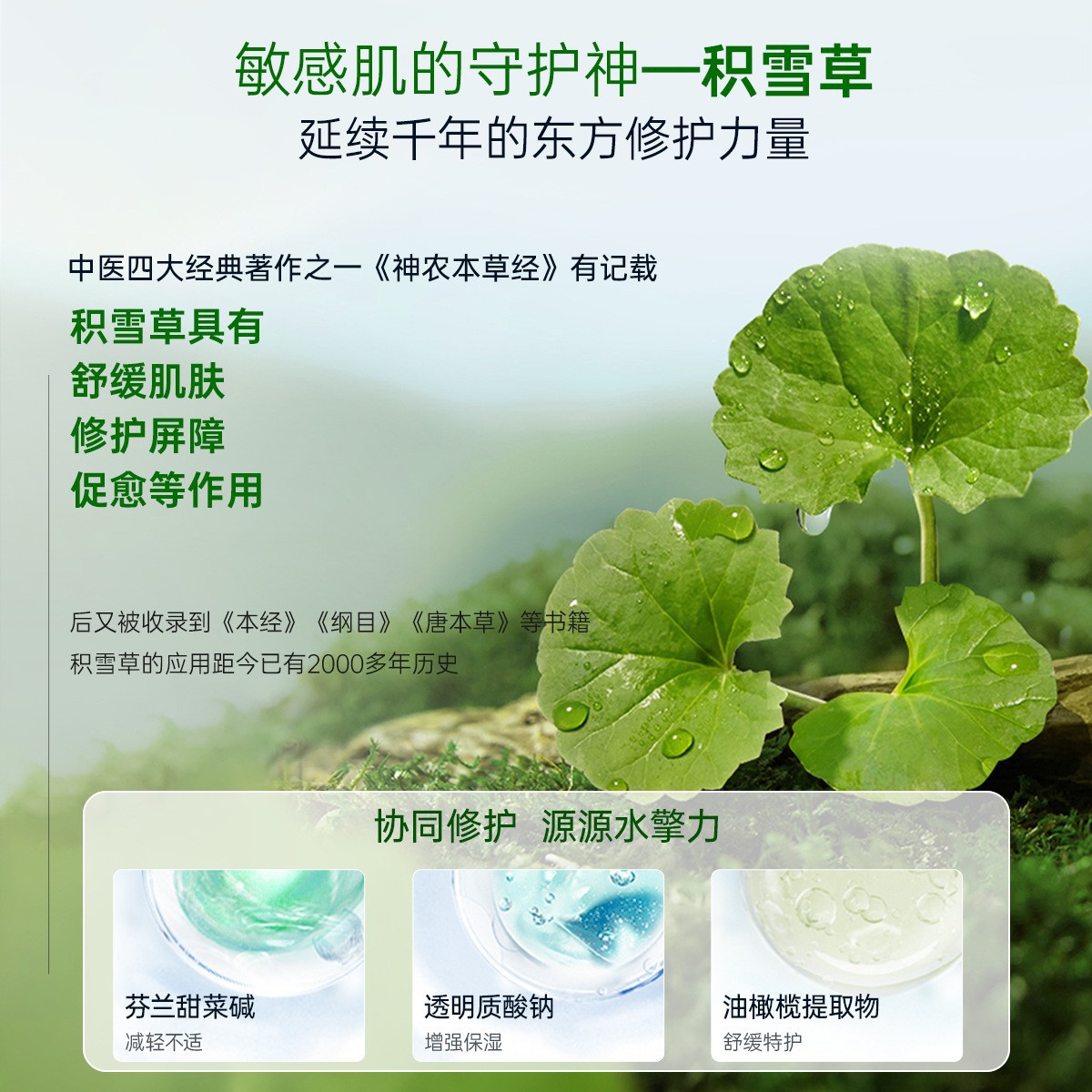 Faithini asiatica verde película de astaxantina lámpara de película de descarga secundaria relajante control de aceite hidratante máscara facial de esencia de firmeza image 2