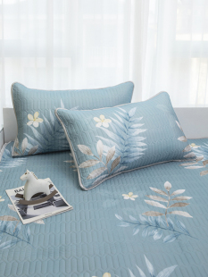 P66D Anti-Slobber Latex Pillowcase Pair of Pillowcases Pillowcase Protection Pillow Core Mite-Free Household 48X74 Waterproof
