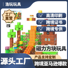 爆款跨境亚马逊我的磁力世界磁力方块积木游戏磁力片儿童diy玩具