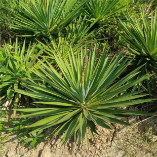 ����ṩ������I�ṩ�N�ۄ����� ���鹤���� ��Ҏ����G����