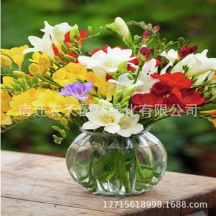 �{������ѩ�m�N���ļ��_���׻�ֲ��С�n�m�����҃�����B�����