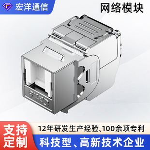 Super Category 5 Category 6 Cat6a Shielded Zinc Alloy Information Module Category 7 Category 8 RJ45 Network Module with Door