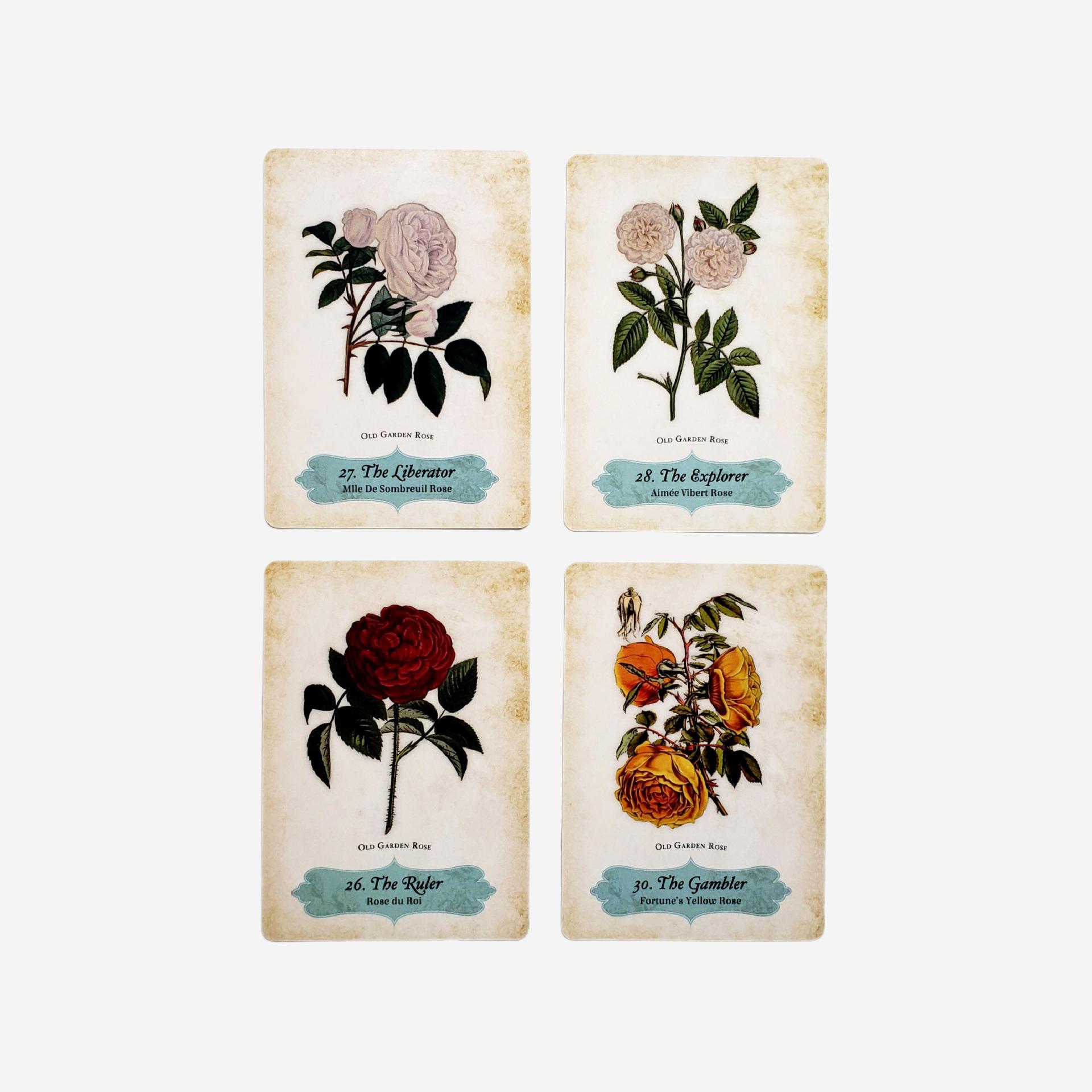 Oracle Of The Roses Card Game Party Games For Gatherings_voghion.com