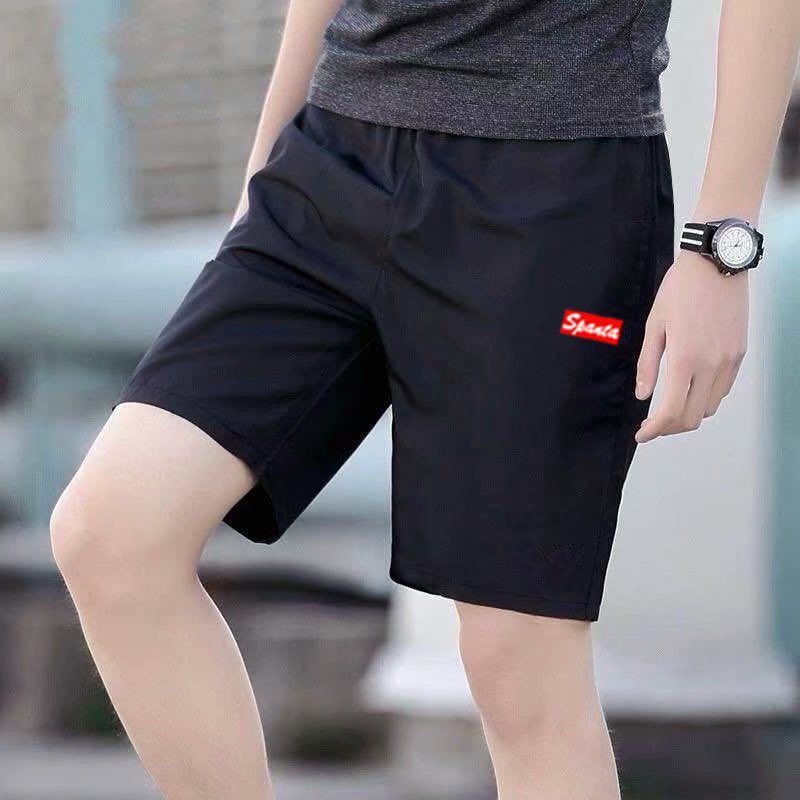 Summer Thin Shorts Men's Sports Quick-Drying Five-Point Pants Loose Straight Casual Pants Beach Pants Foreign Trade Wholesale