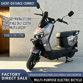 电动摩托车;电动自行车;电动车充电器
