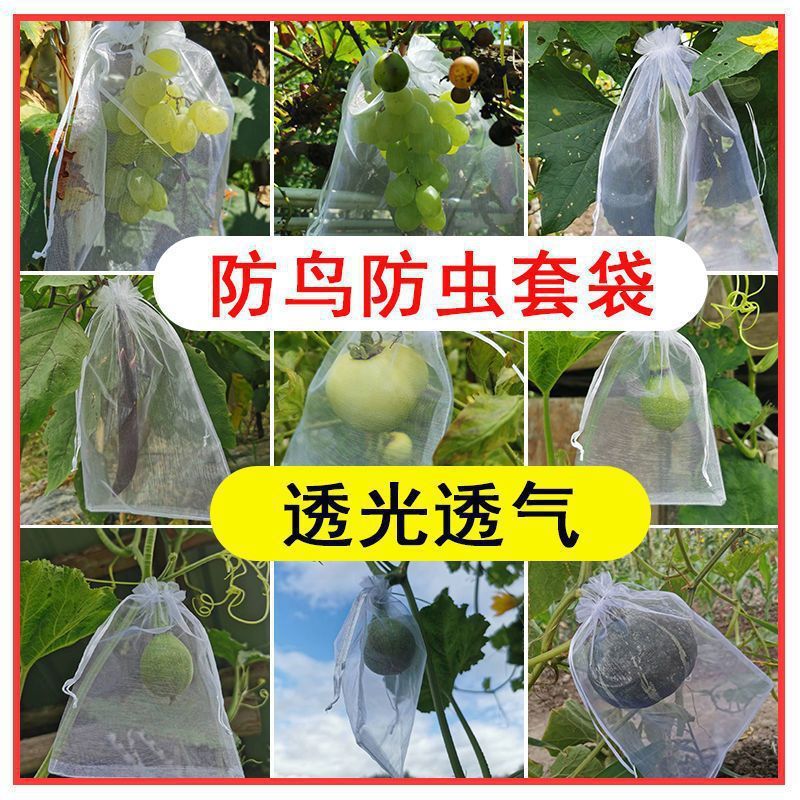 【果物袋詰め】ナイロンメッシュ袋、ブドウ袋詰め、防鳥ネット、防虫果物防虫ネット袋、通気性特殊|undefined