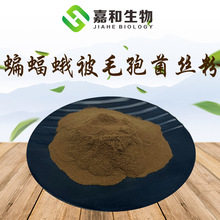 蝙蝠蛾被毛孢菌丝粉 含腺苷0.25%以上 被毛孢虫草菌丝体粉 现货