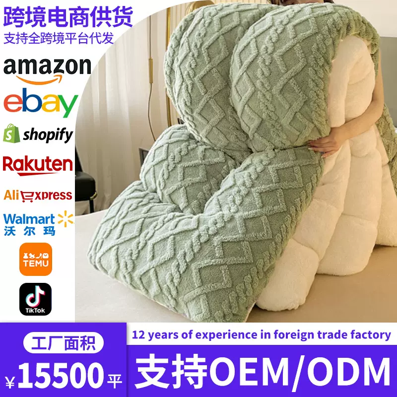 跨境羊羔绒毛毯被子冬被棉被冬季加厚保暖塔芙绒双面加绒被芯被褥