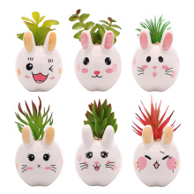 羳؛Դմ ٶ辰bM Ĕz߼ٻGֲ