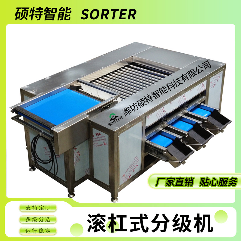 大蒜分级流水线设备 青梅李子辊杠式直径分选机 罗汉果大小筛选机