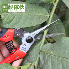 �n����782Aϡ���޹�������֦�����߹��ɹ���ˮ���@���ӹ����
