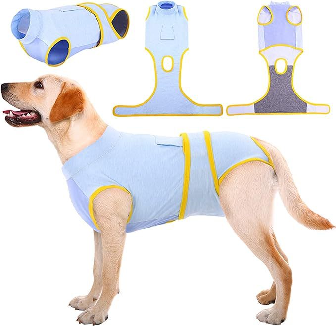 アマゾンの人気のある絶育服の中の大規模な子犬は通用します。|undefined