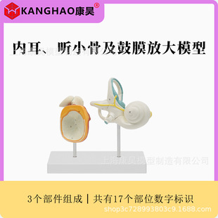 ���w�ȶ� С�Ǽ���Ĥ�Ŵ�ģ�� ���Y���Ŵ�ģ�����w�������ģ��