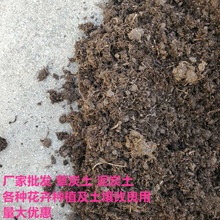 泥炭土 各種花卉種植配土及土壤改良用草炭土腐殖土