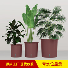 �҃���[ֲ���쾰�M�Ϯ��λ���A�ε�䁾Gֲ�M�ϷNֲ����Ƅӻ���