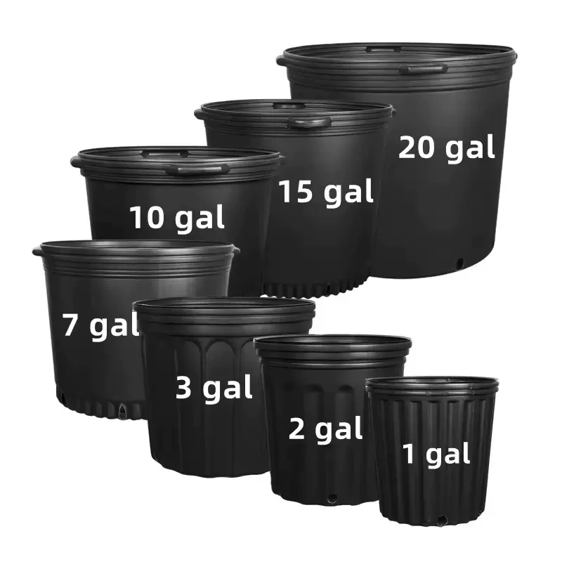 吹塑1-25加仑盆黑色吹塑塑料花盆大口径厂家批发跨境外贸Pot
