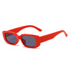 Beach sunglasses, trend modern fashionable swimming pool, graduation party, internet celebrity