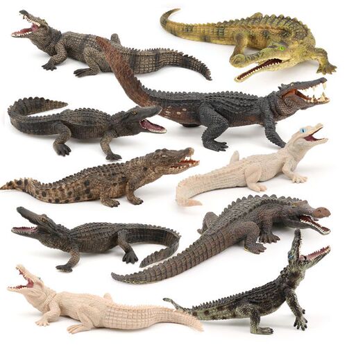 Children's simulation model amphibian crocodile toy Nile crocodile wild boar crocodile alligator wild animal model