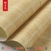 Rogue 99001 (brushing/non -self -adhesive)